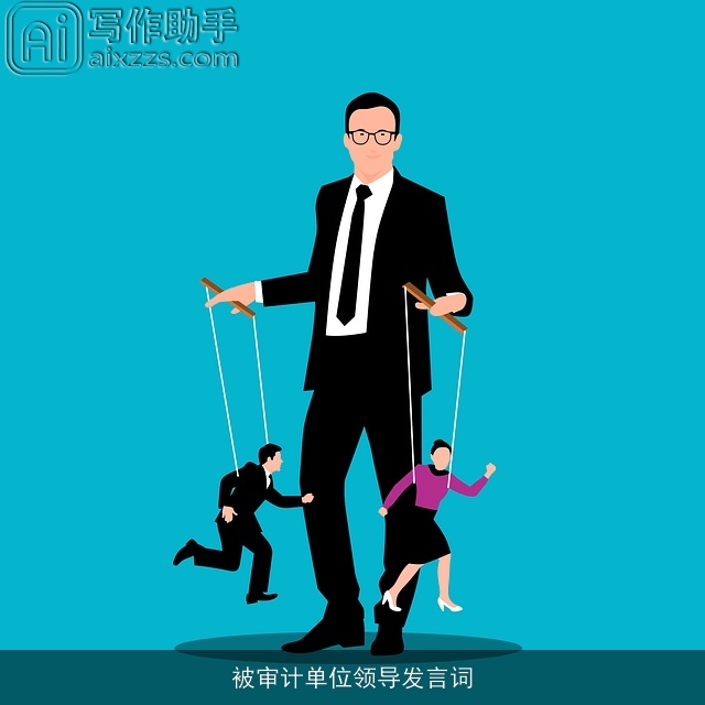 被审计单位领导发言词