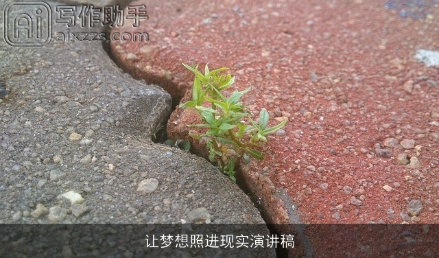 让梦想照进现实演讲稿