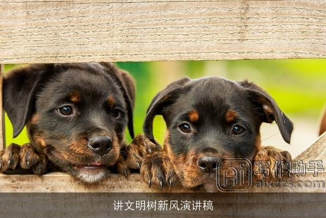 讲文明树新风演讲稿