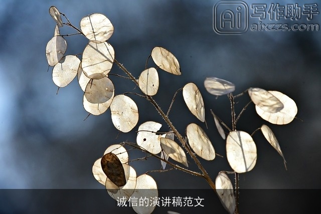 诚信的演讲稿范文