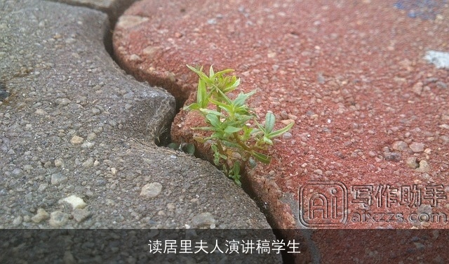 读居里夫人演讲稿学生