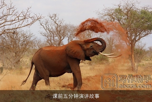 课前五分钟演讲故事