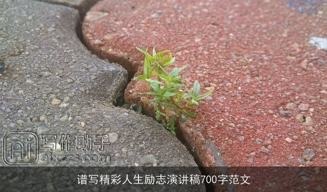 谱写精彩人生励志演讲稿700字范文