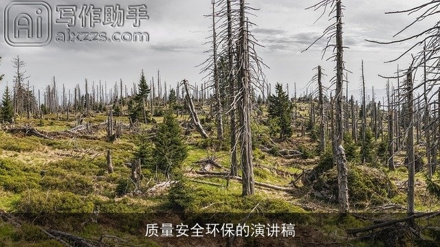 质量安全环保的演讲稿