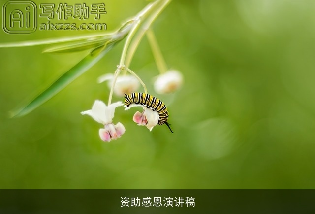 资助感恩演讲稿