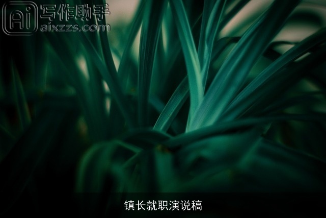 镇长就职演说稿