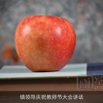 镇领导庆祝教师节大会讲话