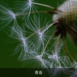 青春