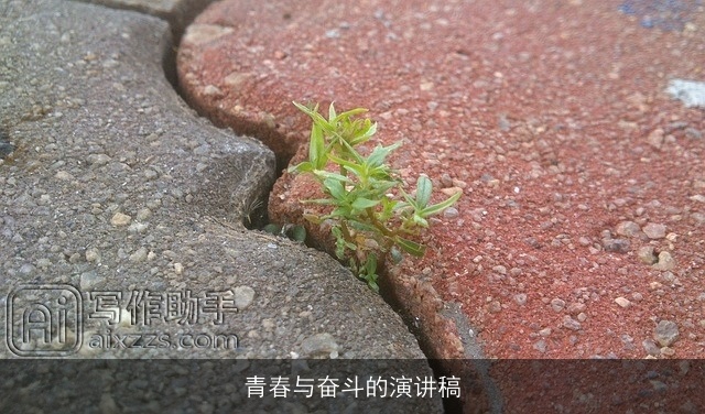 青春与奋斗的演讲稿