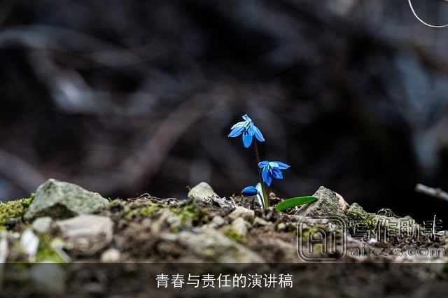 青春与责任的演讲稿