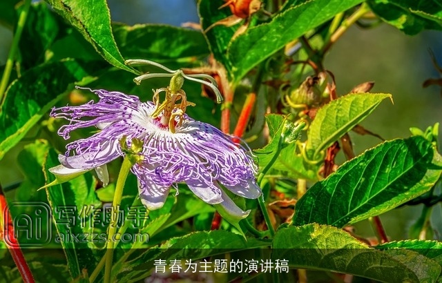 青春为主题的演讲稿