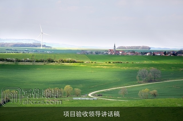 项目验收领导讲话稿