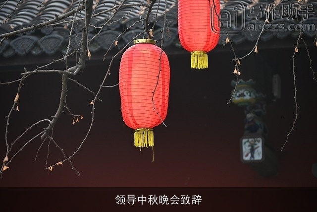 领导中秋晚会致辞