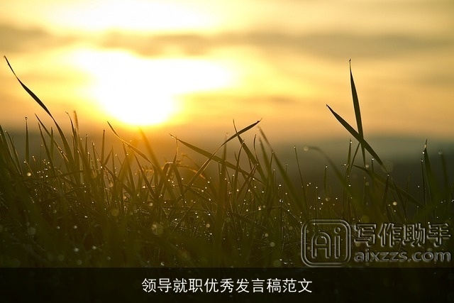 领导就职优秀发言稿范文