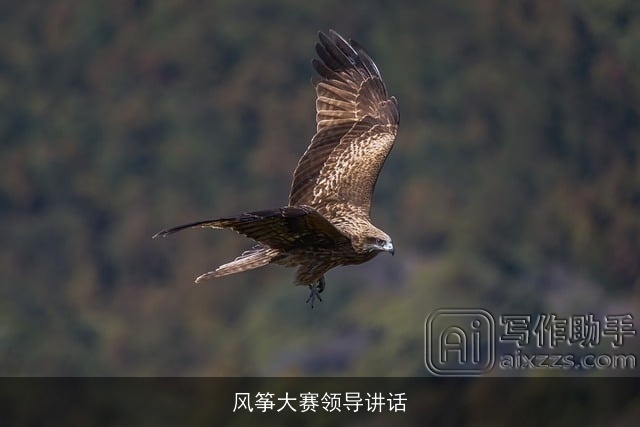 风筝大赛领导讲话