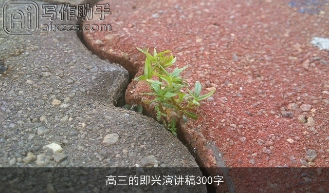 高三的即兴演讲稿300字