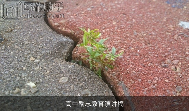 高中励志教育演讲稿