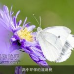 高中环保的演讲稿