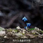 高中生青春演讲稿