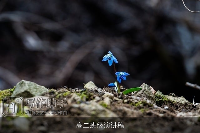 高二班级演讲稿