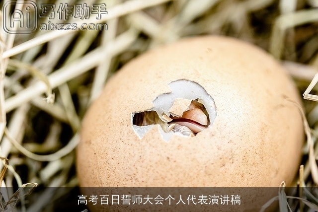 高考百日誓师大会个人代表演讲稿