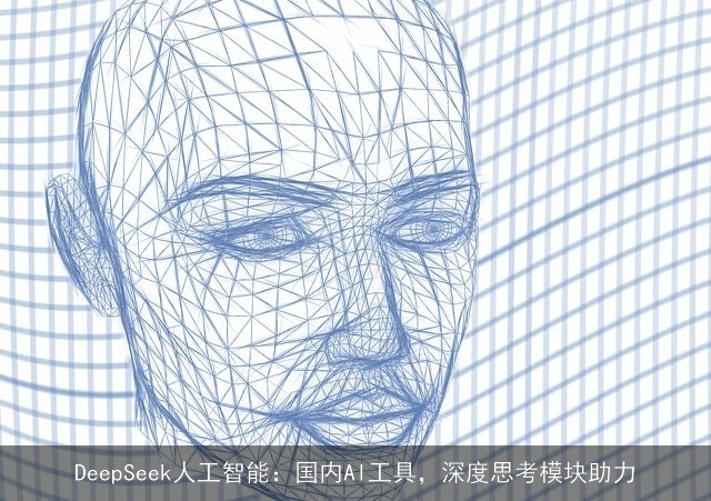 DeepSeek人工智能：国内AI工具，深度思考模块助力
