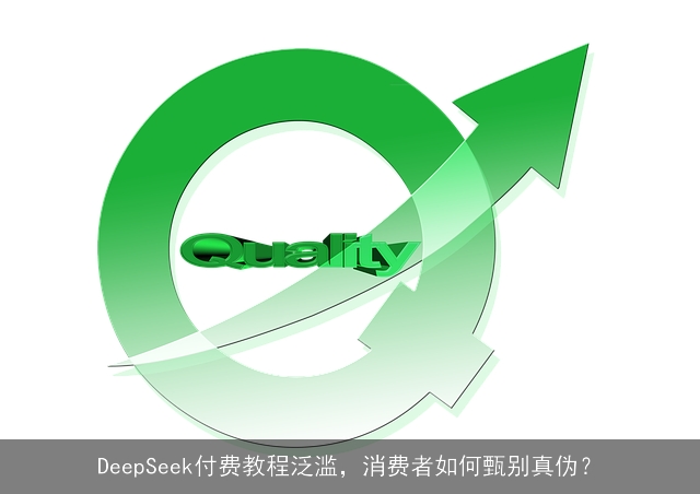 DeepSeek付费教程泛滥，消费者如何甄别真伪？