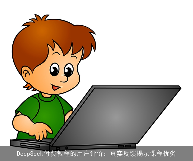 DeepSeek付费教程的用户评价：真实反馈揭示课程优劣