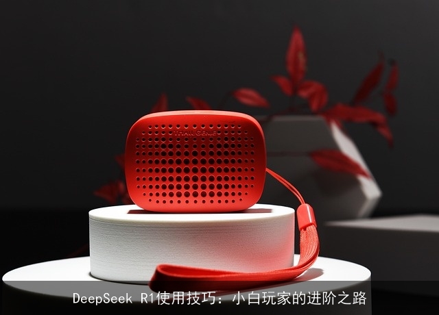 DeepSeek R1使用技巧：小白玩家的进阶之路