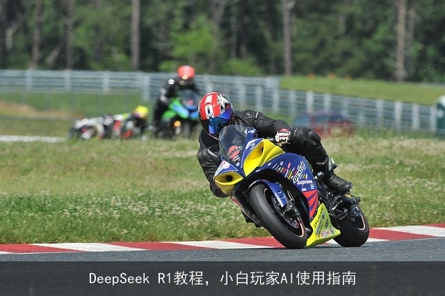 DeepSeek R1教程，小白玩家AI使用指南