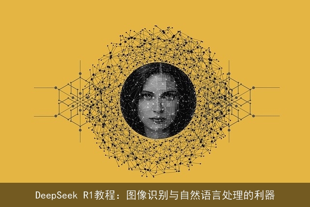 DeepSeek R1教程：图像识别与自然语言处理的利器