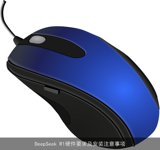 DeepSeek R1硬件要求及安装注意事项