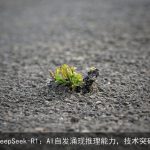 DeepSeek-R1：AI自发涌现推理能力，技术突破