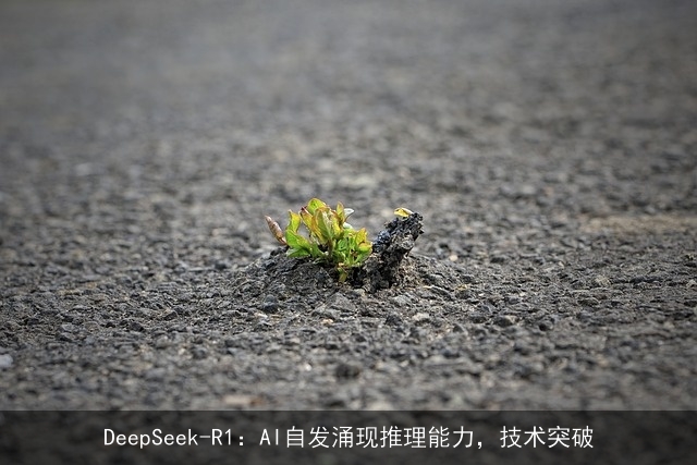 DeepSeek-R1：AI自发涌现推理能力，技术突破