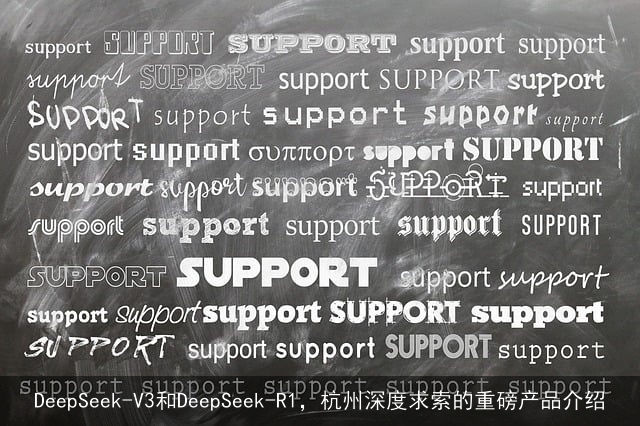 DeepSeek-V3和DeepSeek-R1，杭州深度求索的重磅产品介绍