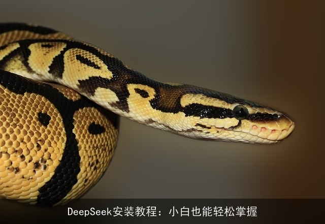 DeepSeek安装教程：小白也能轻松掌握