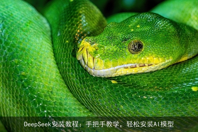 DeepSeek安装教程：手把手教学，轻松安装AI模型