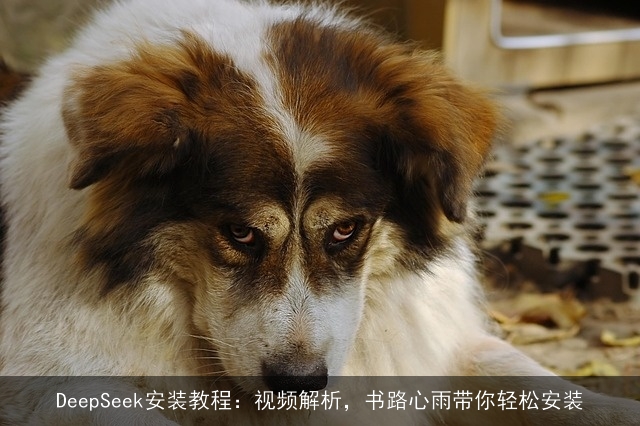 DeepSeek安装教程：视频解析，书路心雨带你轻松安装