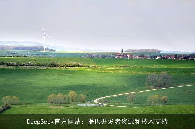 DeepSeek官方网站：提供开发者资源和技术支持