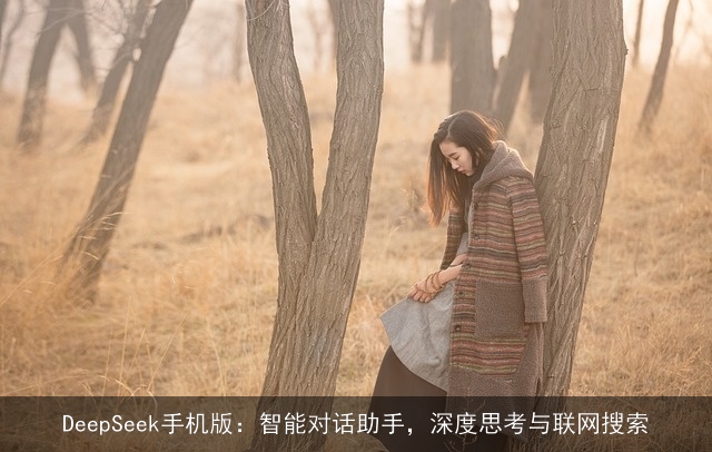 DeepSeek手机版：智能对话助手，深度思考与联网搜索