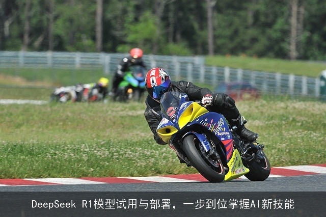 DeepSeek R1模型试用与部署，一步到位掌握AI新技能