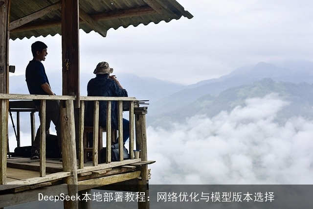 DeepSeek本地部署教程：网络优化与模型版本选择