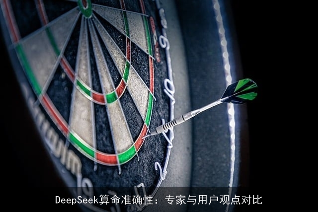 DeepSeek××准确性：专家与用户观点对比
