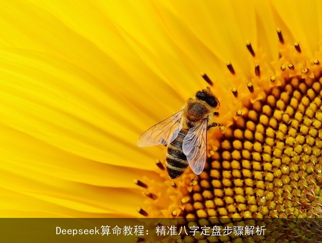 Deepseek××教程：精准八字定盘步骤解析