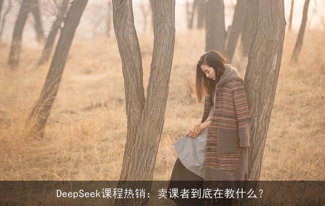 DeepSeek课程热销：卖课者到底在教什么？